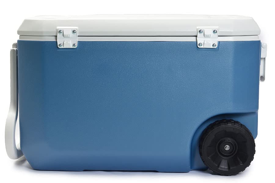 Amazon | コールマン COLEMAN クーラーボックス 62QT 3000004745